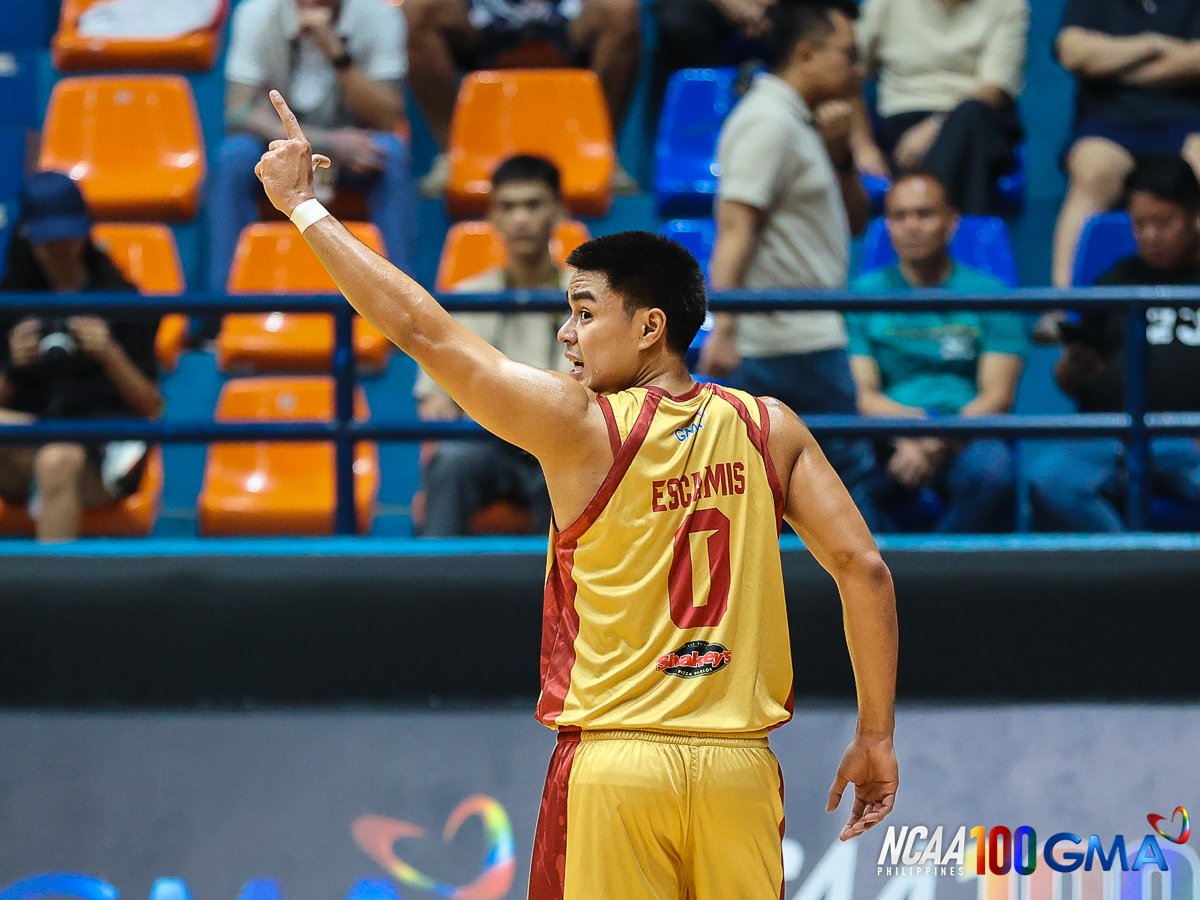 Reigning MVP Clint Escamis points Mapua to the right direction in the NCAA basketball tournament.
