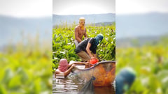 The Takibo fishermen of Santa Cruz, Laguna