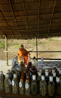 Laos government says 'profoundly saddened' by tourist deaths