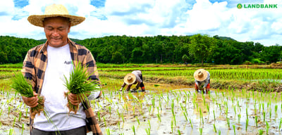 LandBank enhances agri loan program