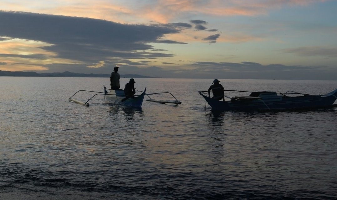 Opening of municipal waters to commercial fishing questioned