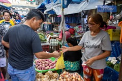 Market activity ramps up as Holiday season nears