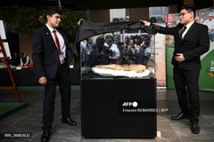 Peru scientists unveil crocodile fossil up to 12 million years old