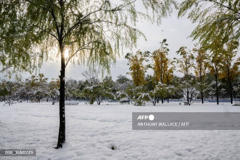 LOOK: Snow is seen at a park along the Han River in Seoul on 28 November 2024, as heavy snowfall blanketed South Korea for a second consecutive day, resulting in three deaths overall and disrupting flights and ferry services, authorities said.