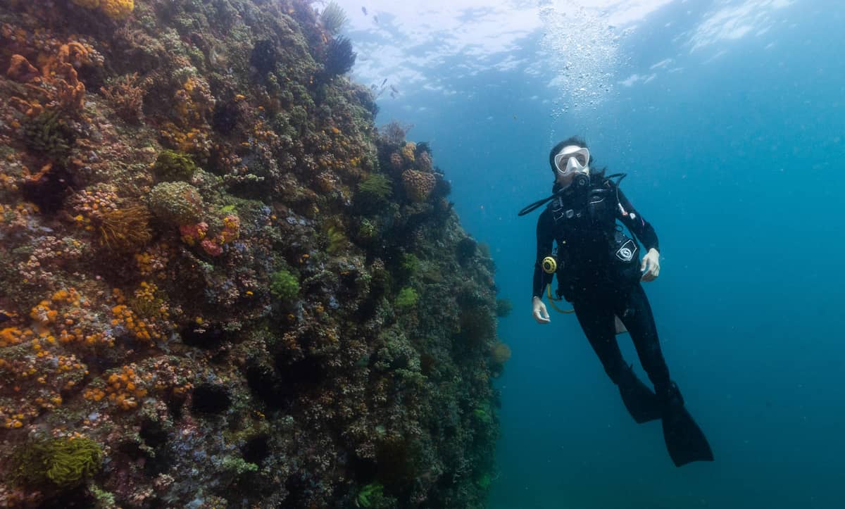 Department of Tourism Secretary Christina Frasco (inset) listens to a divemaster's lessons along with foreign diplomats ahead of a dive in Anilao, Batangas on Thursday. The DoT is promoting the dive site in Batangas.