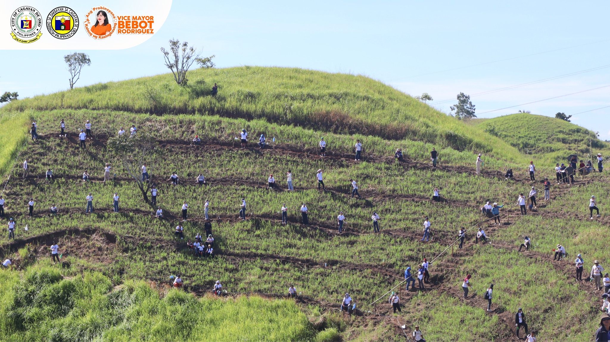 DOST sets Guinness World Record for bamboo planting