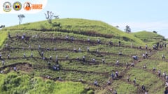 DOST sets Guinness World Record for bamboo planting