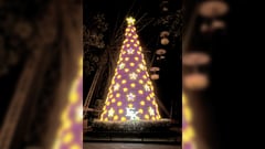 Magic of Christmas at EK