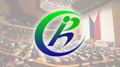CA upholds dismissals of ex-DBM exec over Pharmally procurement scandal