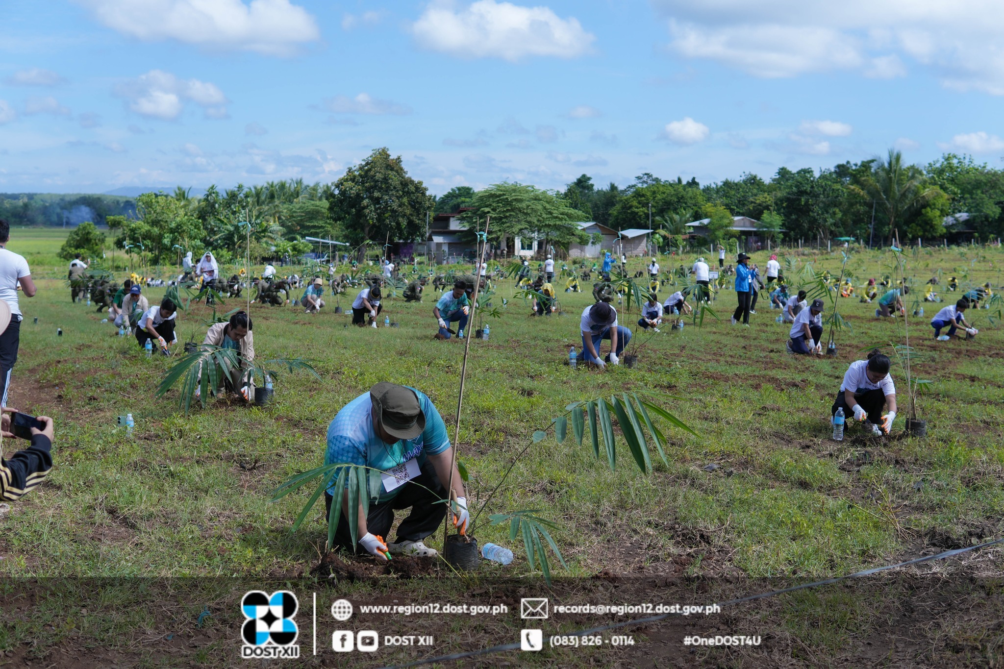 DoST sets Guinness World Record for bamboo planting