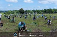 Some 300 volunteers from various national government agencies, local government units, state universities and colleges, private sectors and indigenous peoples groups planted bamboos in a field in Poblacion, Carmen, Cotabato.