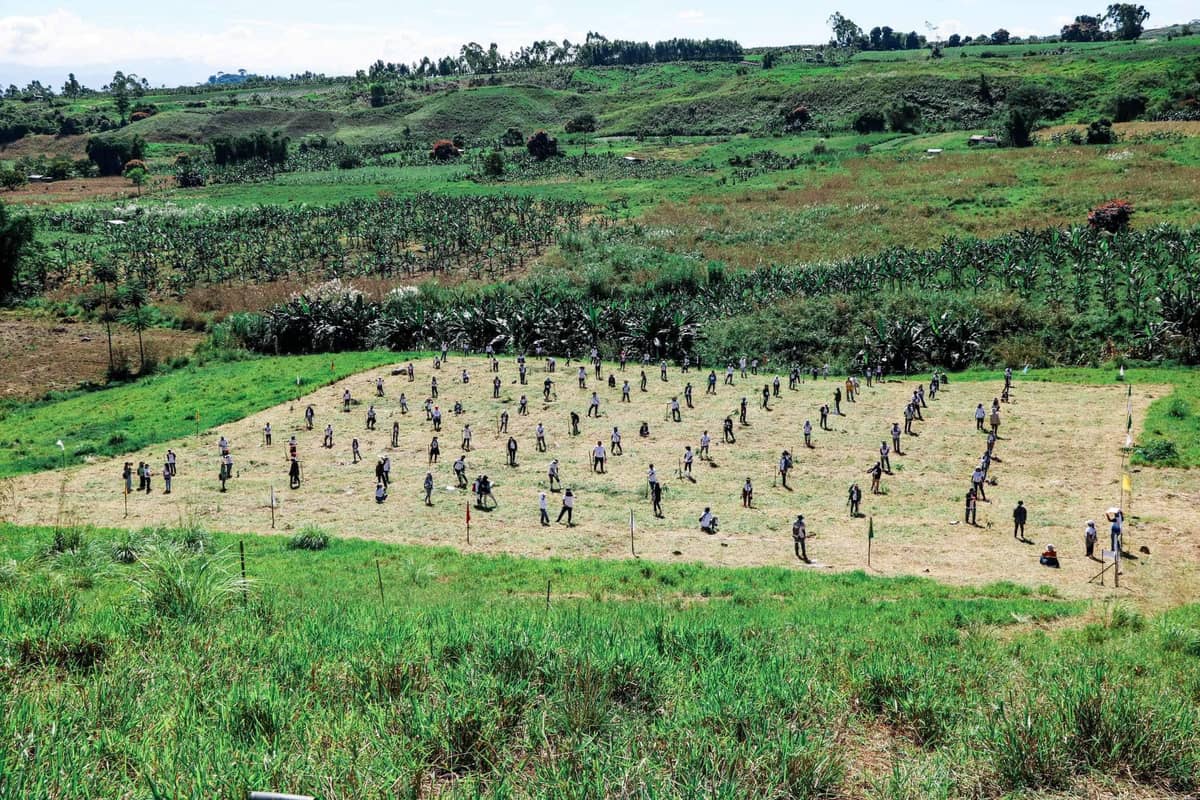 Volunteers from the Department of Agriculture’s Regional Field Office 10 plant bamboos at the Northern Mindanao Agricultural Crops and Livestock Research Complex in Dalwangan, Malaybalay, Bukidnon on 18 October 2024.