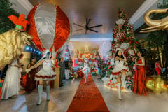 Discovery Resorts aims to brighten the holidays