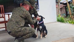 Viscom honors canine in Negros encounters
