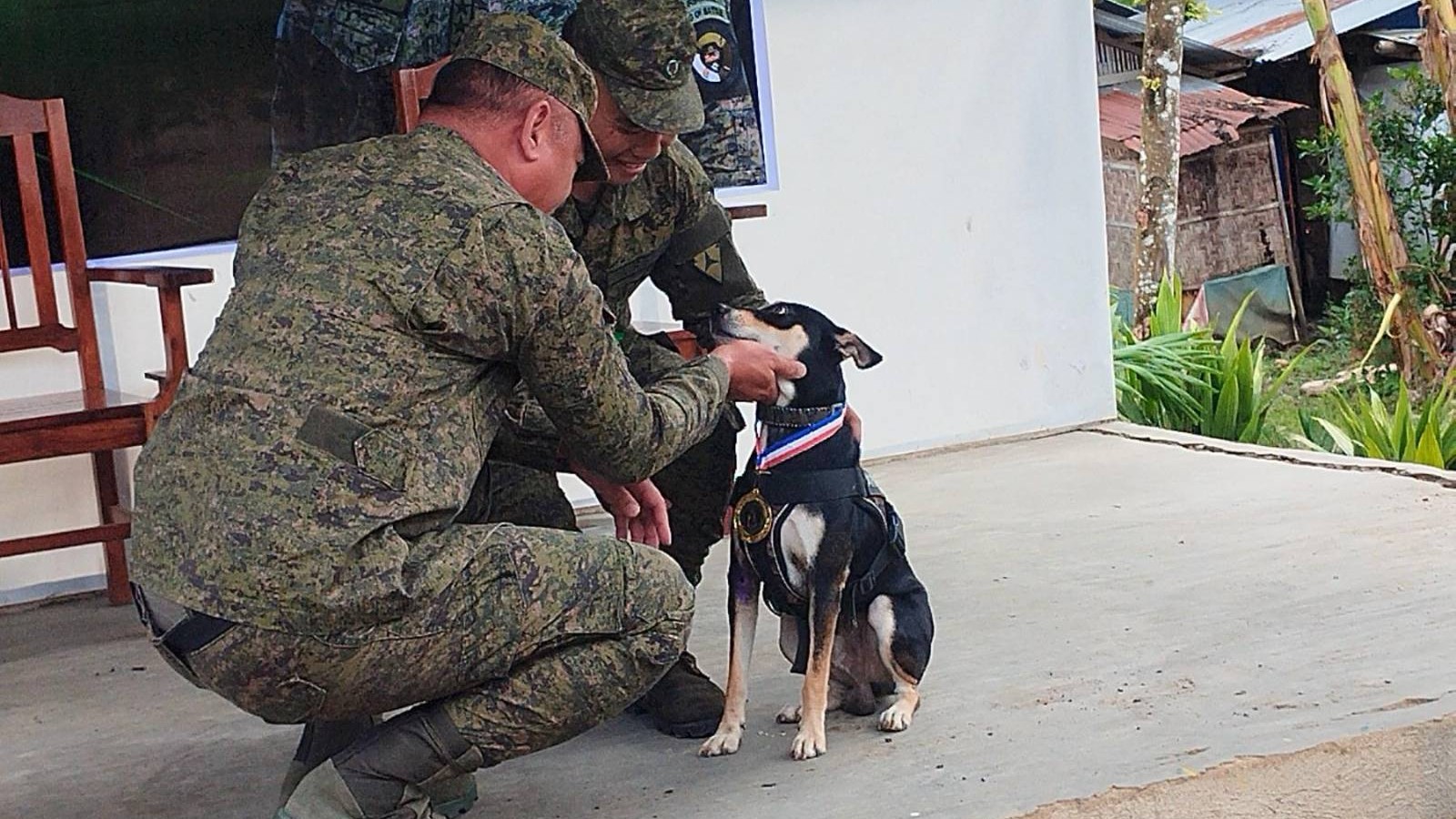 Viscom honors canine in Negros encounters