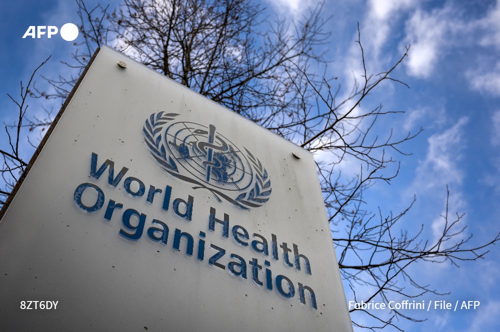 WHO warns more hantavirus cases possible after deadly cruise ship outbreak
