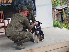 VISCOM honors K9 'Itum' for role in Negros encounters