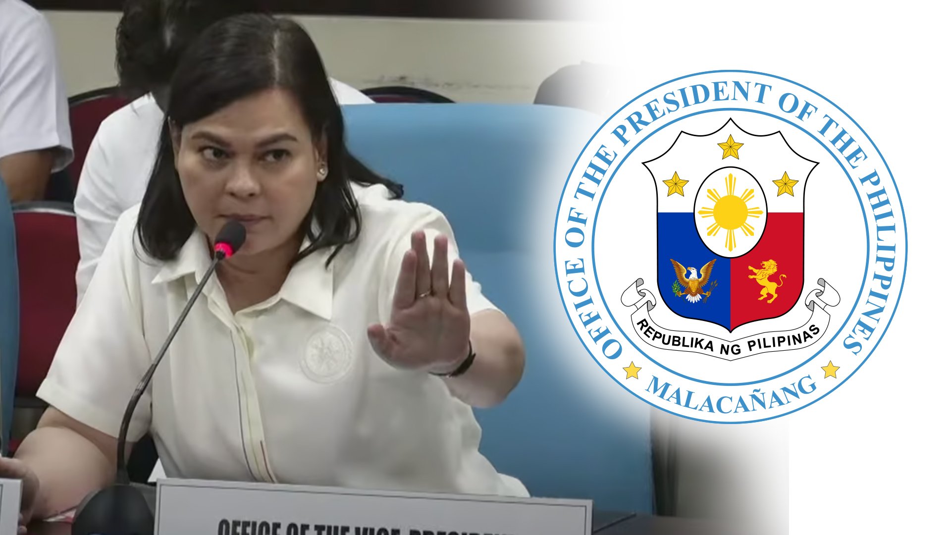 Palace distances itself  from impeach bid vs Sara