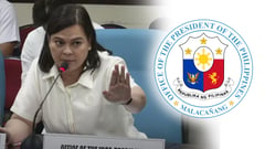 Palace distances itself  from impeach bid vs Sara