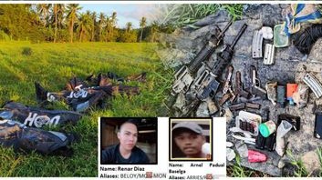 Top insurgent leaders fall in clash