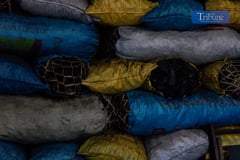 Lower coal prices drive power rates down in 2024  