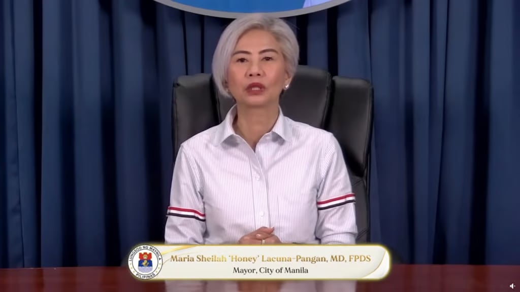 (FILE PHOTO) Mayor Honey LacunaScreengrab from Bureau of Internal Revenue Philippines