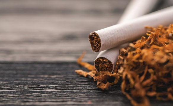 WHO urged to change cigar control tack