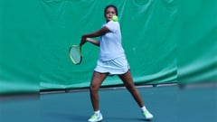Madis, Aludo rip foes, reach semis
