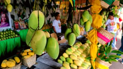 Zambales okays P50-M Mango Green Valley project