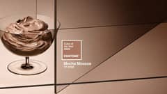 Pantone 2025 Color of the Year is Mocha Mousse