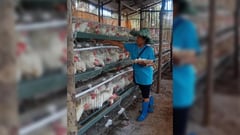 Showcase of success DSWD awards 10 LGUs for food-water projects