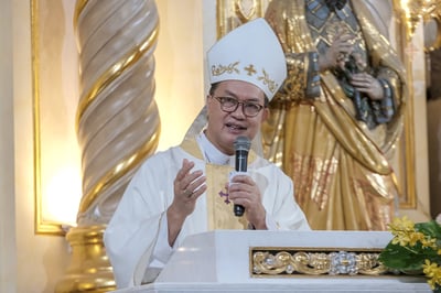 Cardinal David urges gov’t to hear Nueva Vizcaya residents’ mining concerns