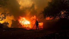 2024 logged ‘hottest’ year, says EU monitor