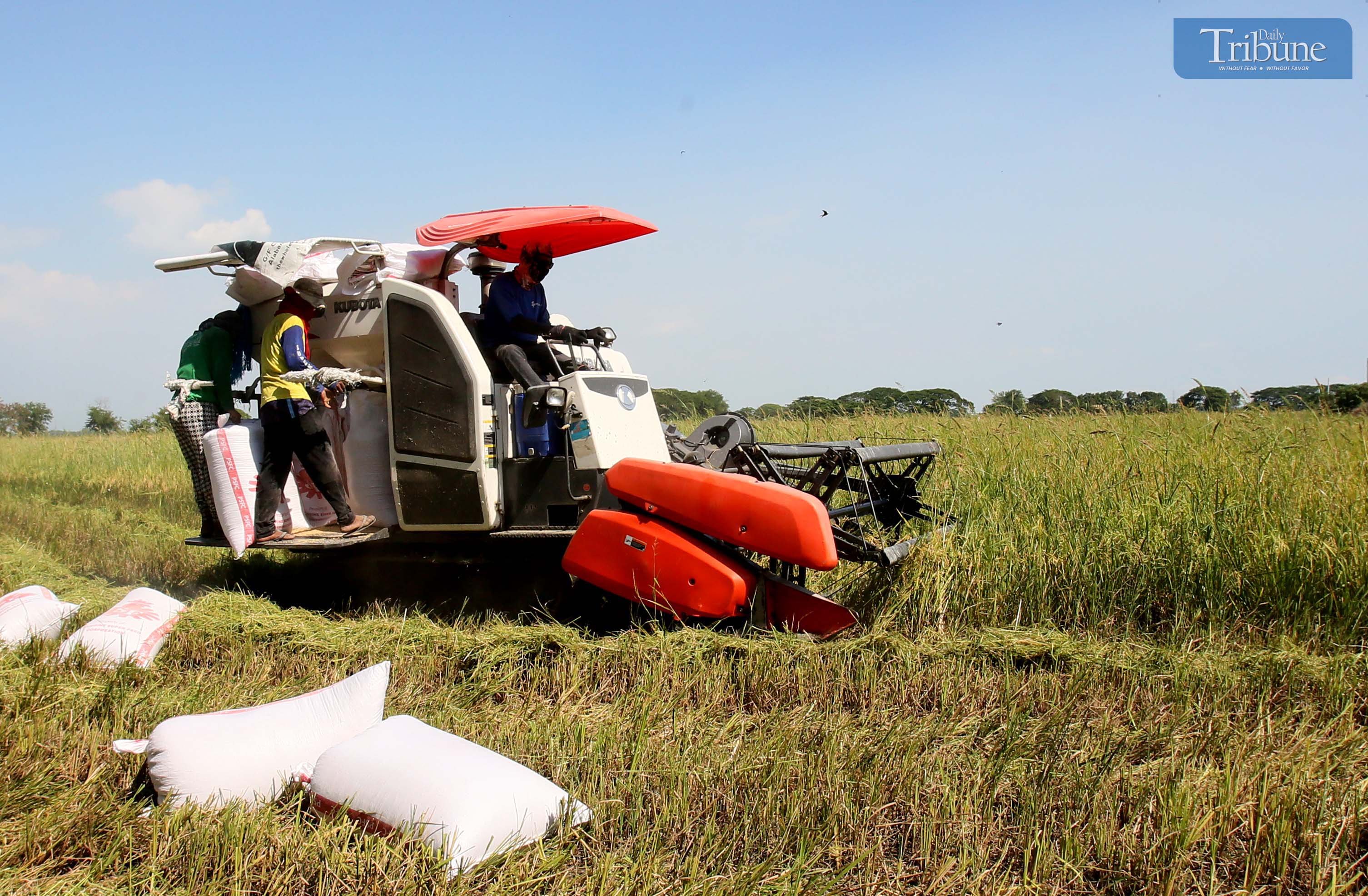 Trade, climate threaten Philippines’ agri-food industry
