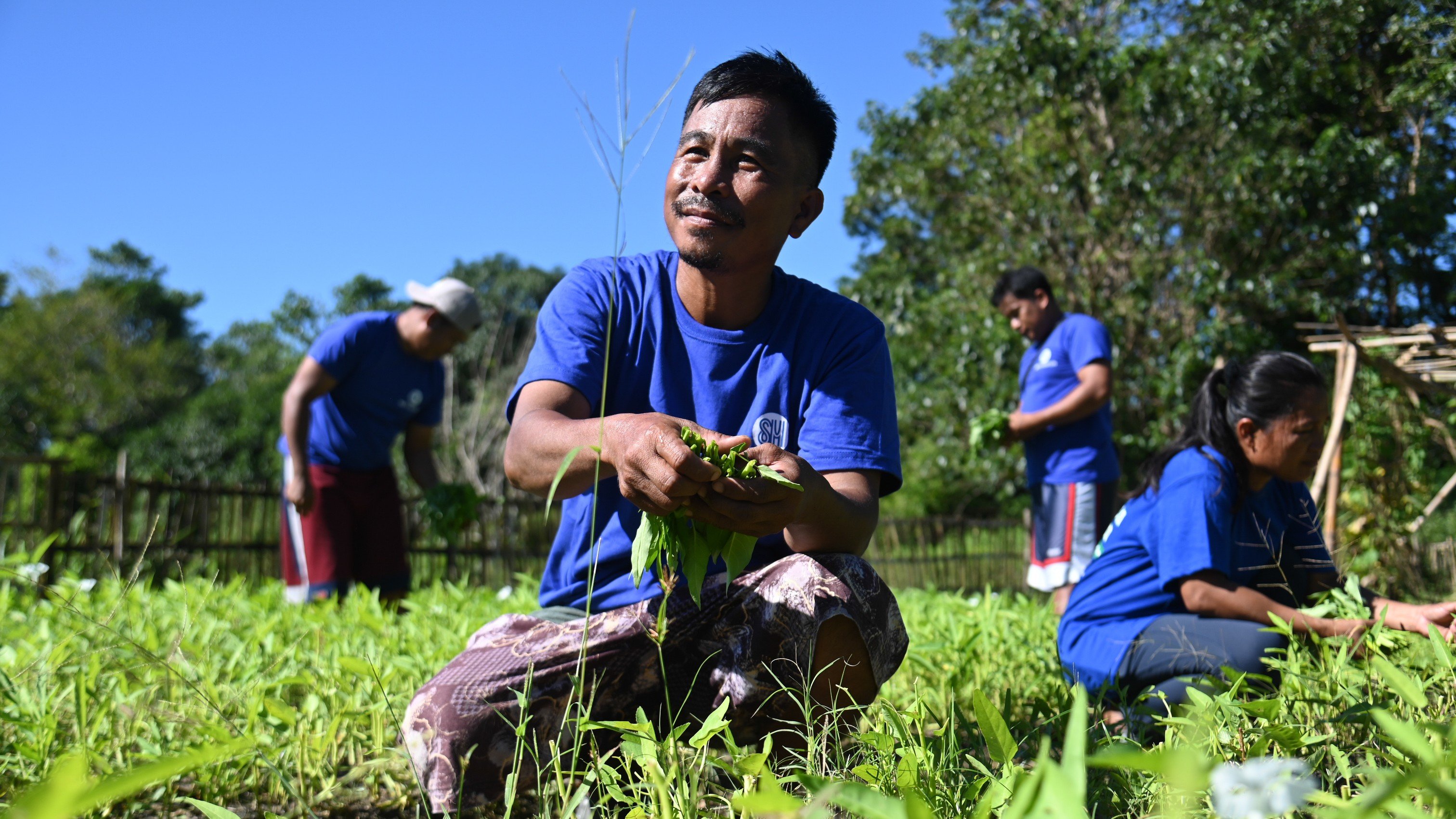 Laoag farmers reap sustainable success with SM Foundation's training program