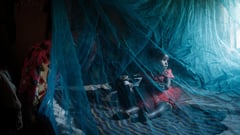 Malaria mortality returns to pre-Covid levels