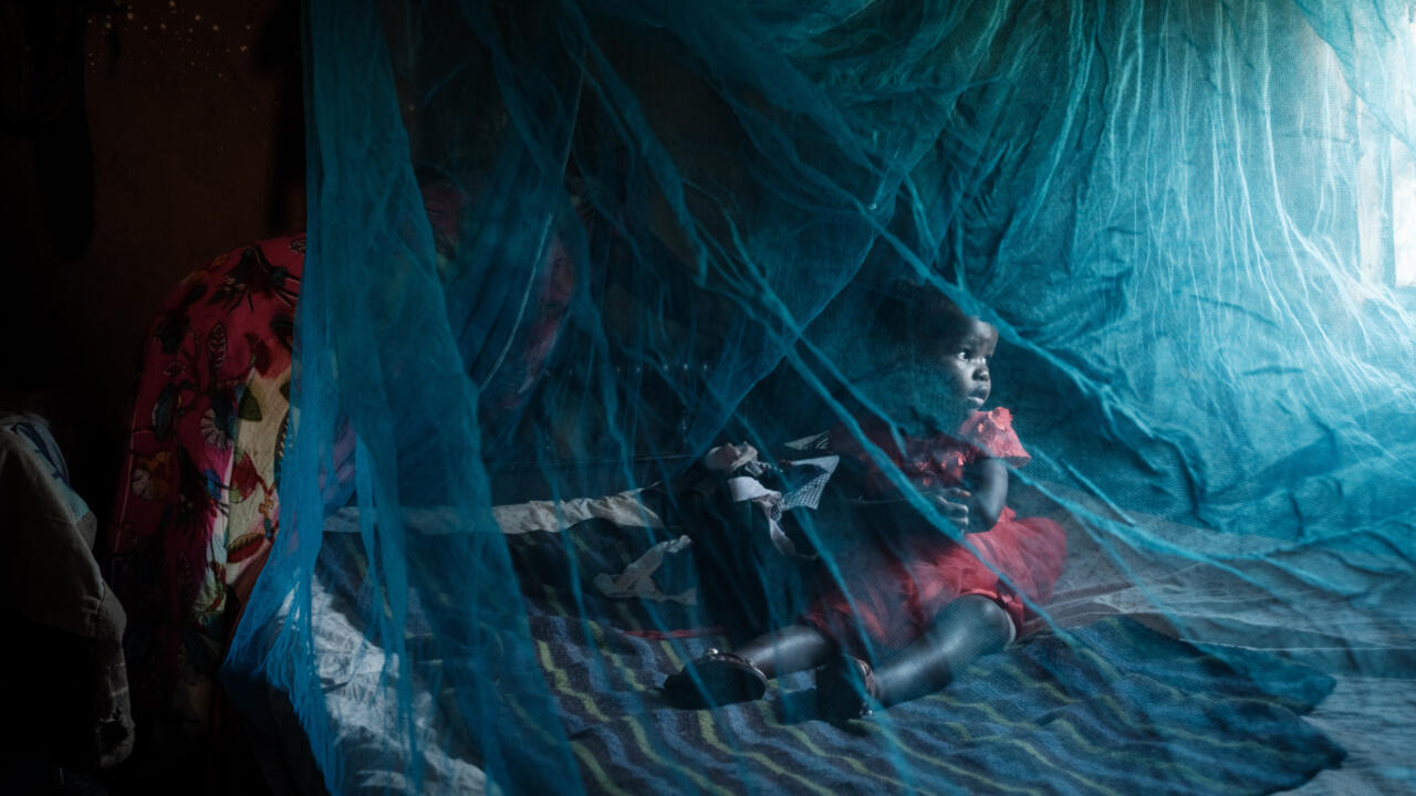 Malaria mortality returns to pre-Covid levels