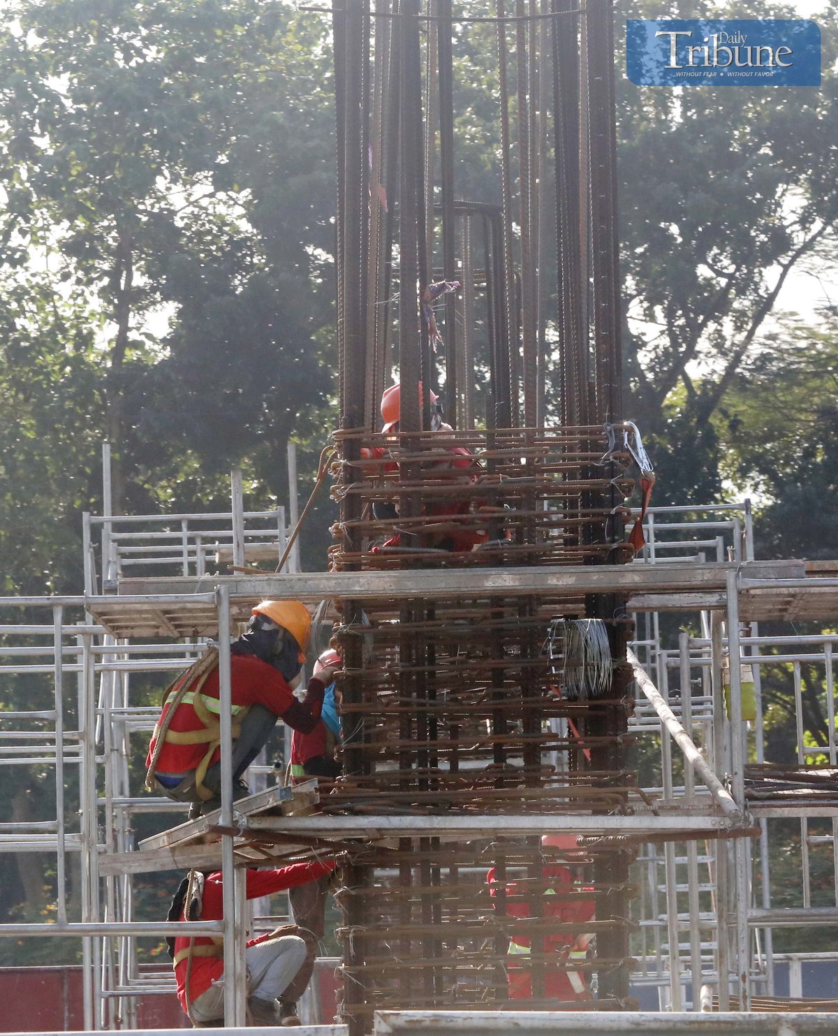 Analy Labor