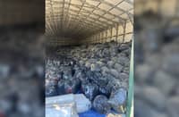 TRASH bags containing over 41,000 kilos of Marijuana valued at $100 million recovered during a search warrant by San Bernardino County Sheriff’s Department Marijuana Enforcement Team on 9 December 2024 in Oak Hills, California.