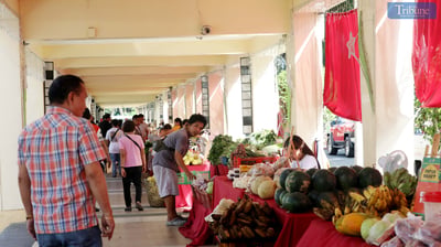 Fresh finds at QC fresh market