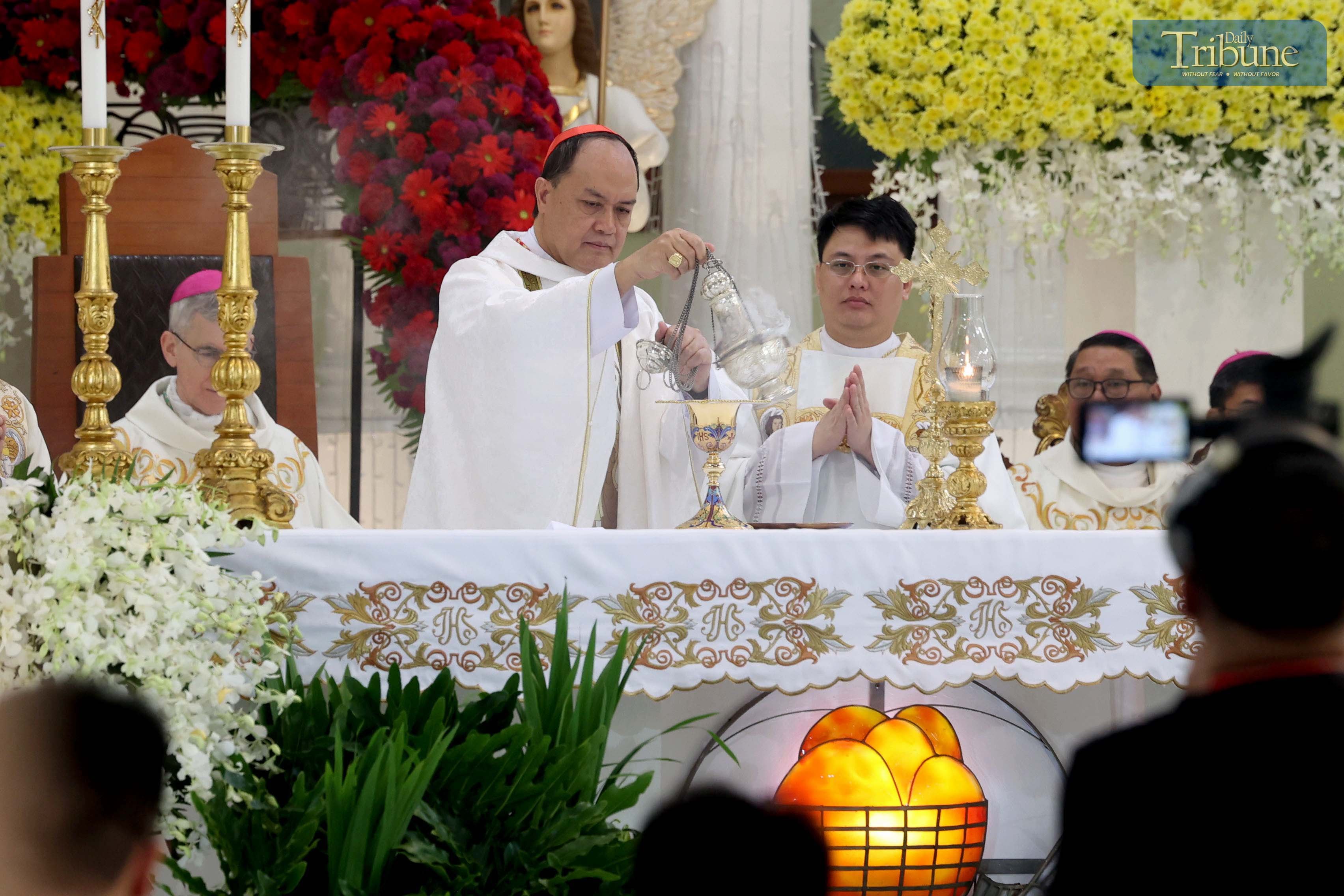 Cardinal David 