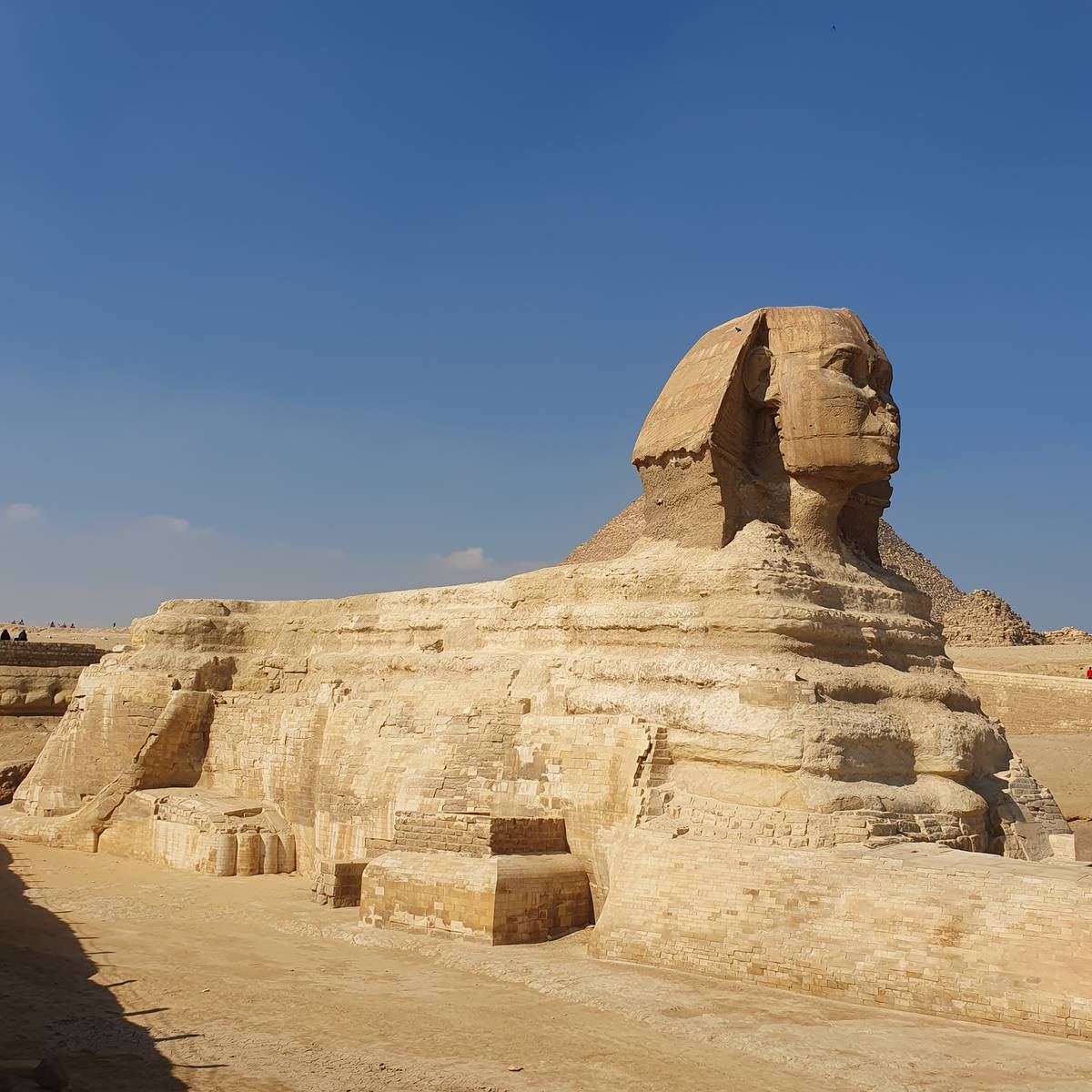 The Sphinx.