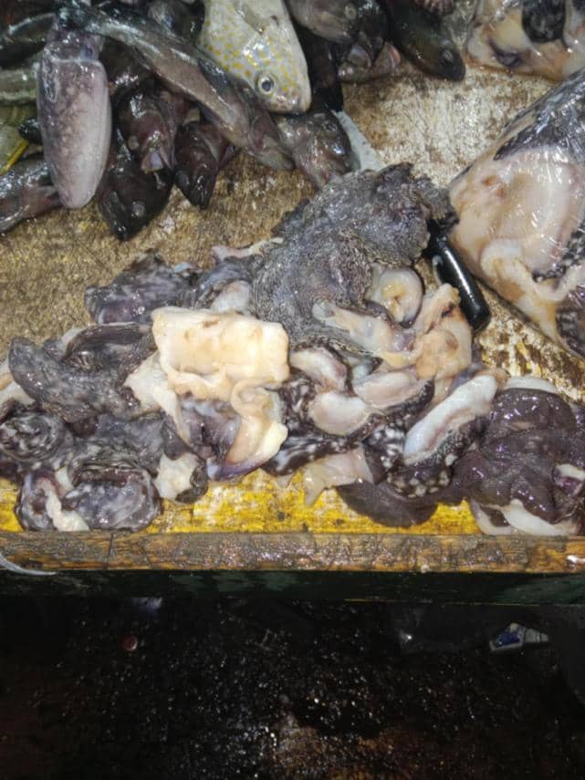 Smuggled giant clams seized in Cebu City.