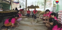 Sweeping success after tiger grass meets ‘dragon ladies’