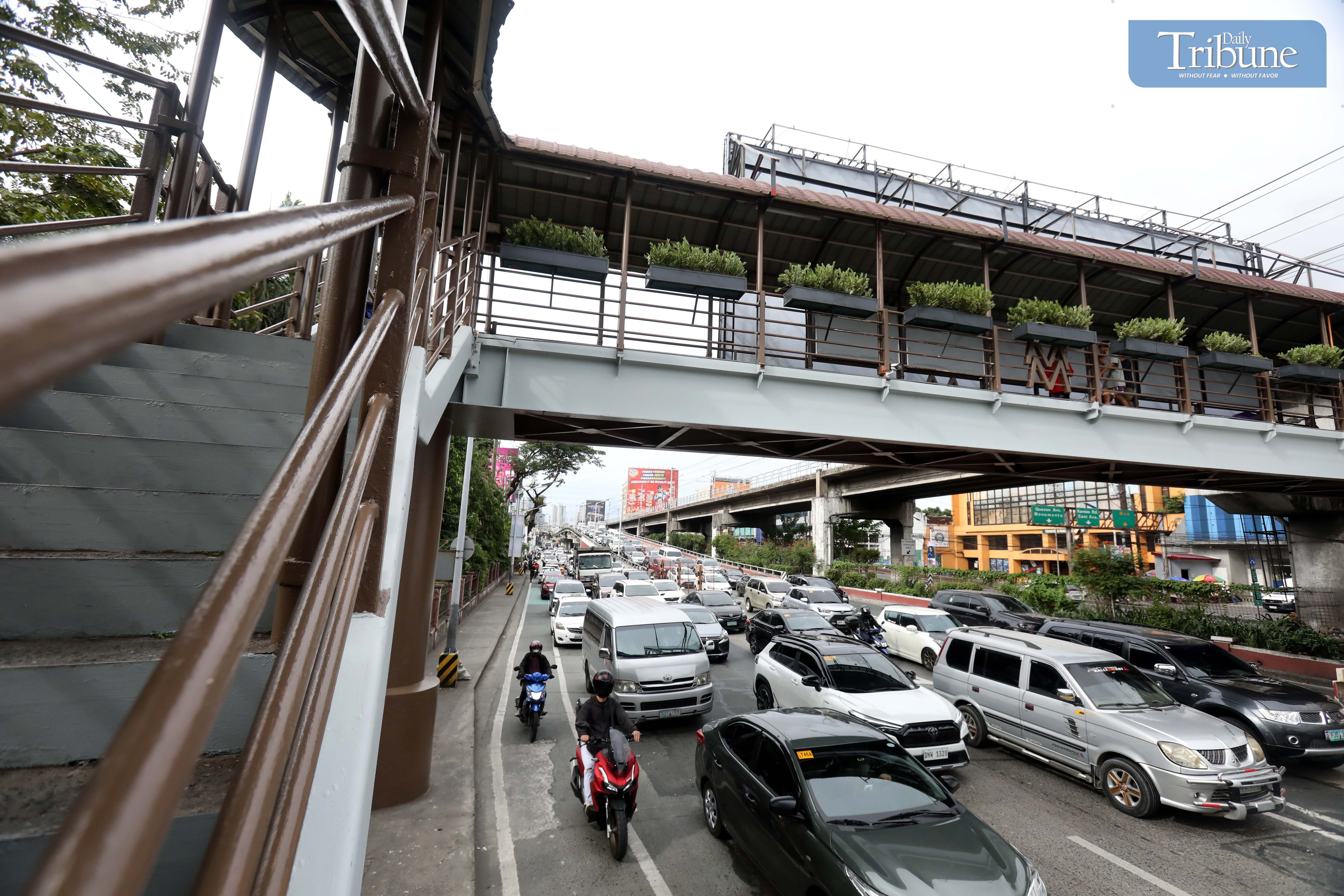 Holiday road crashes reach 529 
