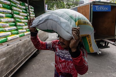 Rice imports may reach all-time high by year-end — DA