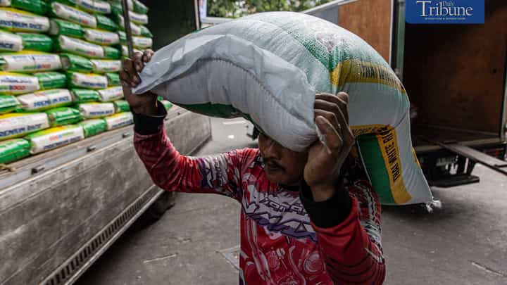 Workers load and unload sacks of rice along Dagupan Street in Divisoria, Manila, on Wednesday, 18 December 2024.
The Department of Agriculture (DA) revealed Tuesday that rice imports may hit a record high of 4.7 million metric tons by year-end to address the impact of natural disasters on local palay production.