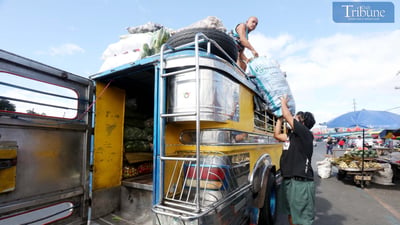 Fresh finds: Vegetables arrive at Commonwealth Avenue
