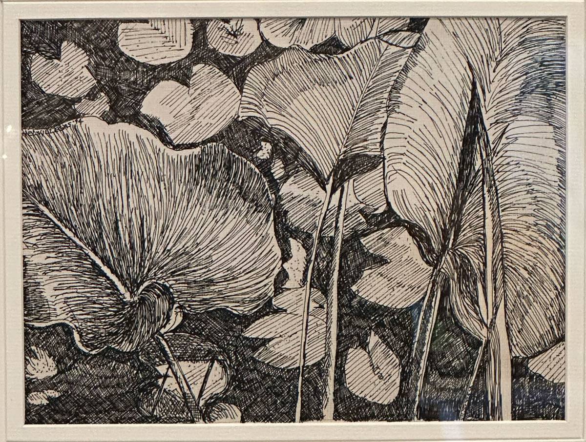 Villegas carefully reflects idyllic scenes of the forest.