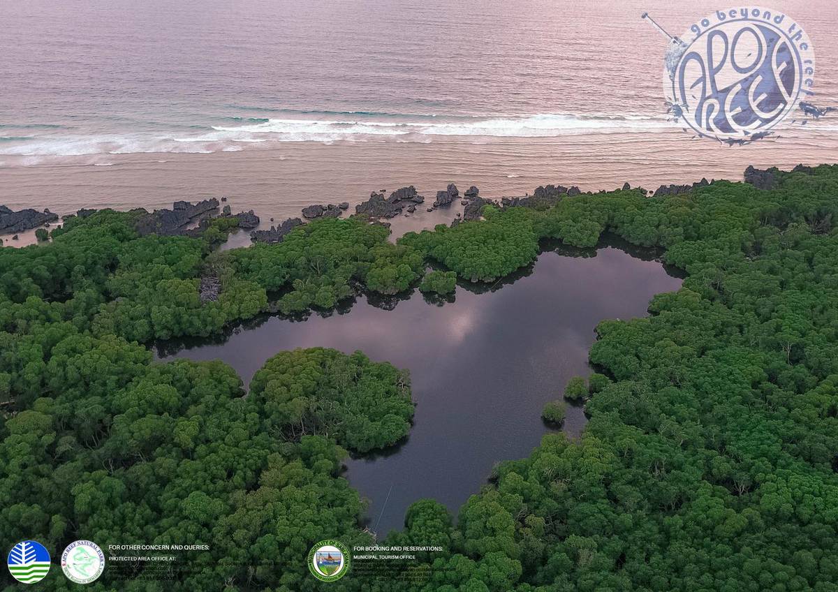 Apo Reef Natural Park is the largest contiguous coral reef system in the Philippines and the second-largest in the world.